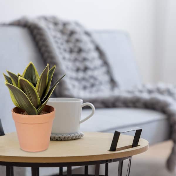 NATURAE DECOR ARTIFICIAL 9 in. SUCCULENT SANSEVERIA IN TERRACOTTA POT