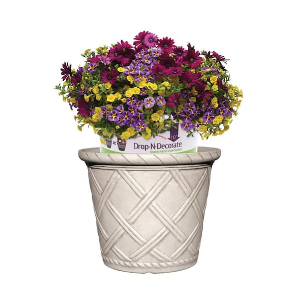CHG CLASSIC HOME & GARDEN Bingham 10 in. Alabaster Wash Resin Planter Fits 10 in. Drop-N-Decorate Plant
