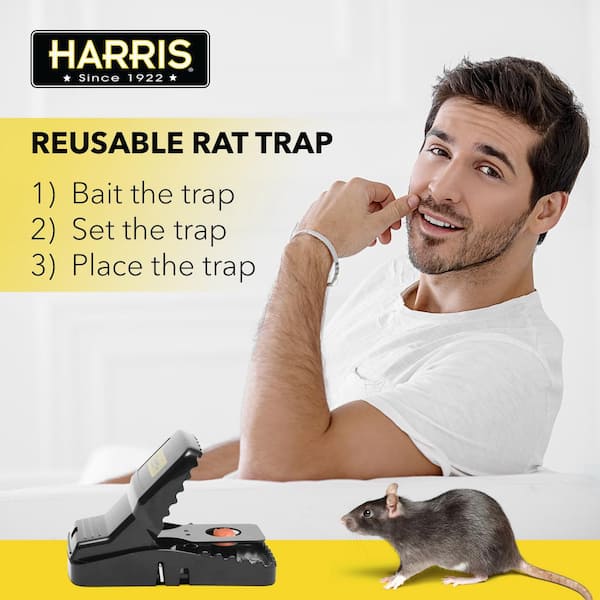 Harris Reusable Plastic Mouse Trap (4-Pack) 2PMT-2 - The Home Depot