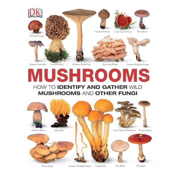 Unbranded Mushrooms: How to Identify and Gather Wild Mushrooms and Other Fungi