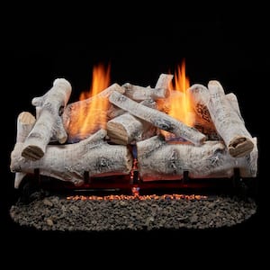 24 in. Birch Wood Vent-Free Dual Fuel Gas Fireplace Log Set, 33,000 BTU with Remote Control