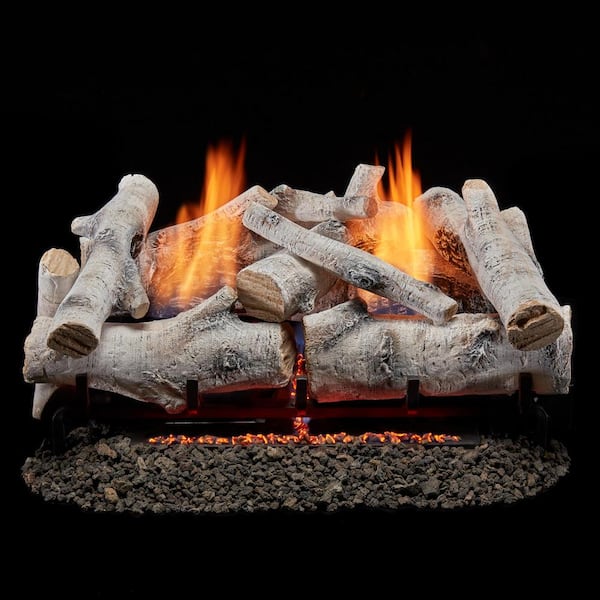 BLUEGRASS LIVING 24 in. Birch Wood Vent-Free Dual Fuel Gas Fireplace Log Set, 33,000 BTU with Remote Control