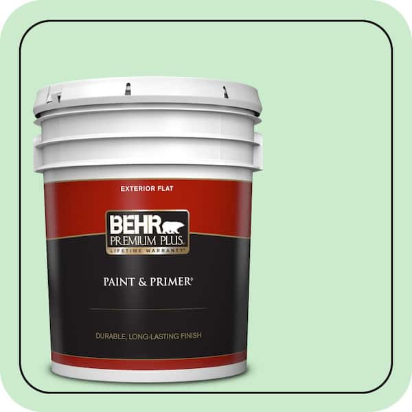 5 gal. #P390-2 Chilled Mint Flat Exterior Paint & Primer