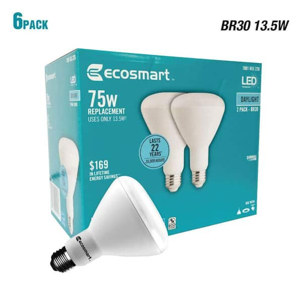 home depot ecosmart br30