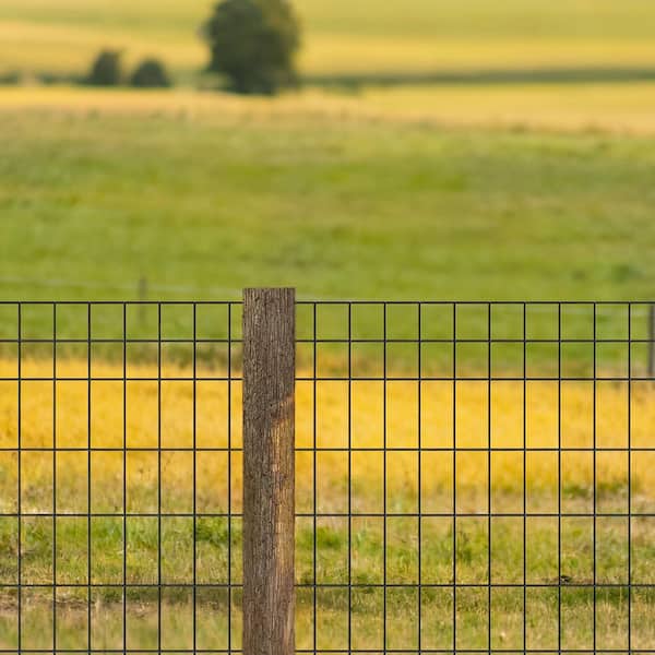 Farm Fence 48 in. W x 0.09 in. H Black Vinyl Free Standing Garden Galvanized Vinyl Coated 1 (Pack)-50 ft. L