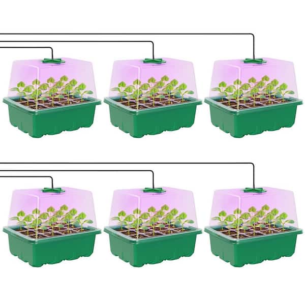 6 Pack Green Plastic Seed Starter Kit, Elevated Seedling Tray with Grow Light Adjustable Humidity Dome Clear Cell Tray