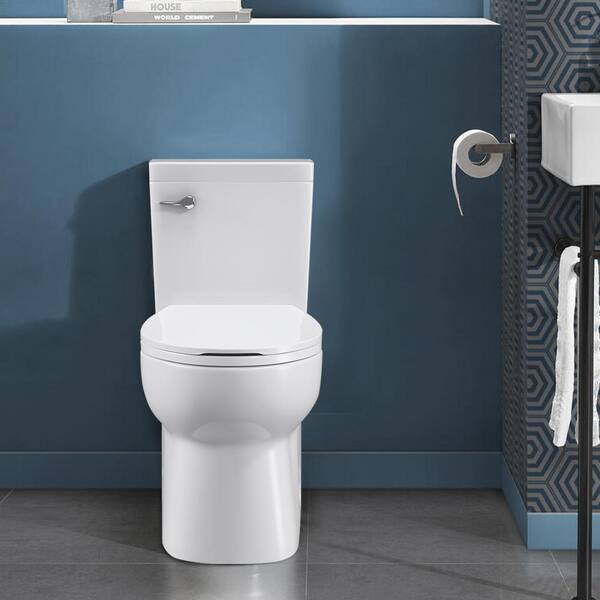 17.1” High Toilets Elongated Tall Toilet with S-trap, 12” Rough in