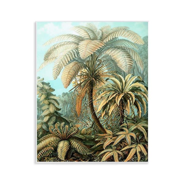 Stupell Industries Detailed Palm Tree Leaves by Graffi*Tee Studios Unframed Nature Graphic Art Print 14 in. x 11 in.