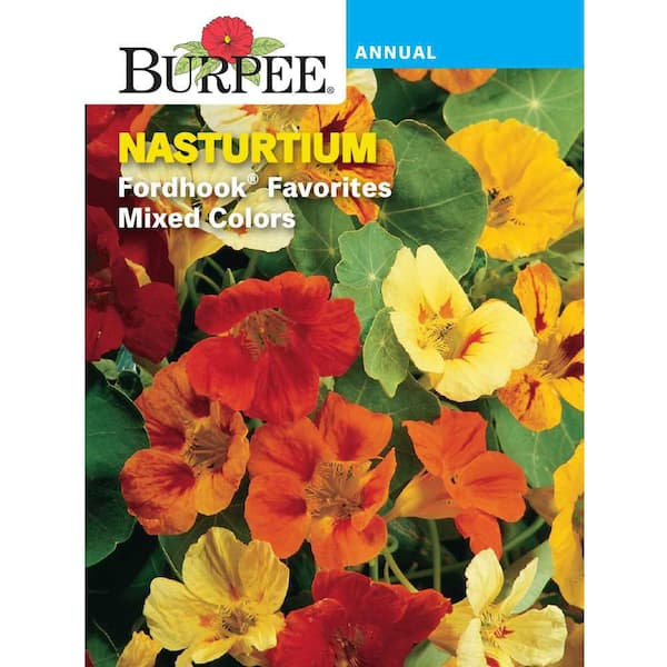 Nasturtium Fordhook Favorites Mixed Colors Flower Seed
