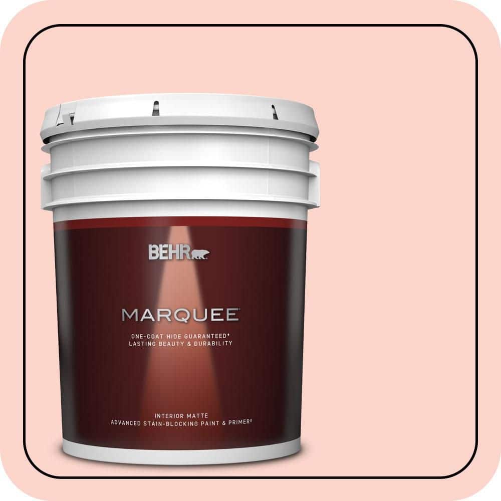 5 gal. #180A-2 Romantic Morn Matte Interior Paint & Primer product image for price tracking