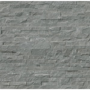 MSI Take Home Tile Sample - Iceland Gray Ledger Panel 6 in. x 6 in ...