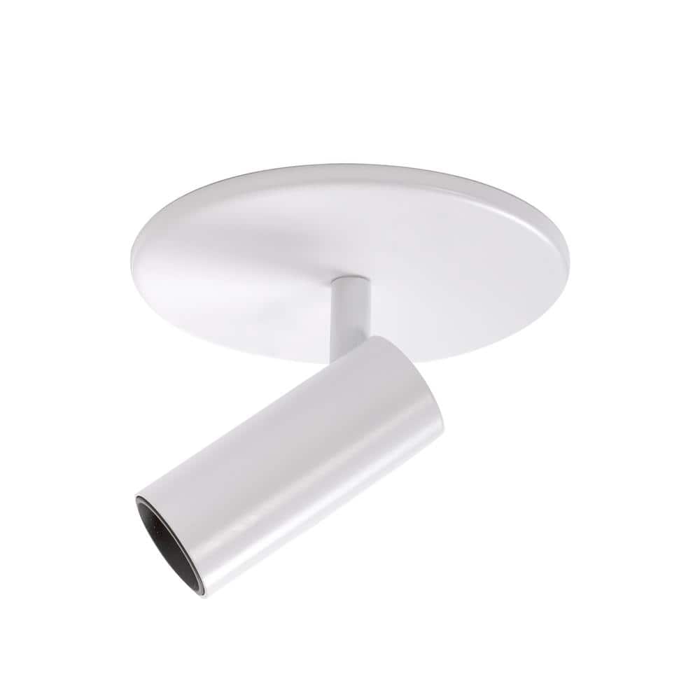 Monae Retro Black LED Orb Flush Mount Spotlight