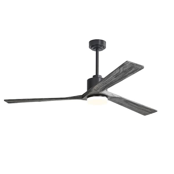 WINGBO 64 in. LED Indoor Black Ceiling Fan with Remote