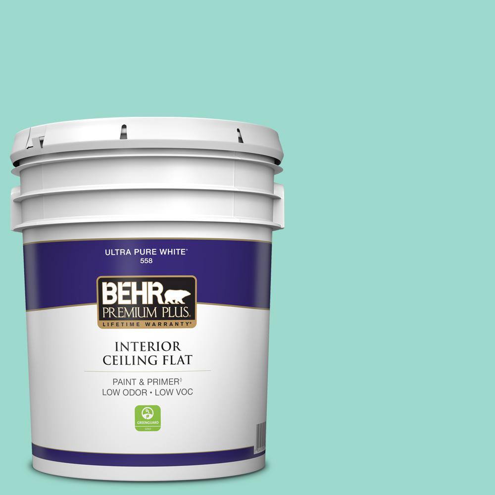 5 gal. #P440-3 Fish Pond Ceiling Flat Interior Paint price history on PriceWatchPro
