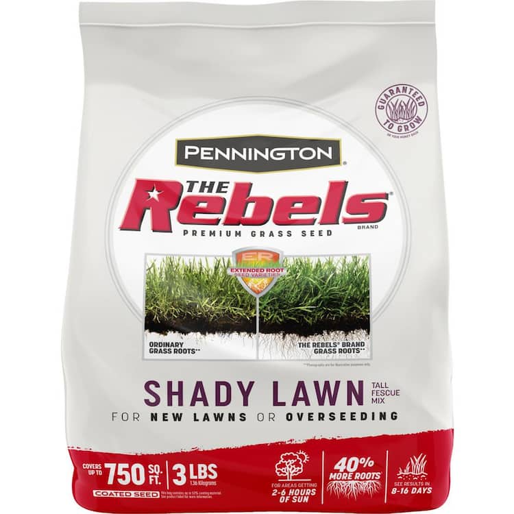 Pennington The Rebels 3 lb. 750 sq. ft. Shady Lawn Grass Seed Mix