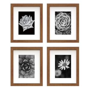 8 in. x 10 in. Matted to 5 in. x 7 in. Walnut Gallery Wall Picture Frame (Set of 4)