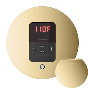 iTempo Round Steam Shower Control in Polished Brass