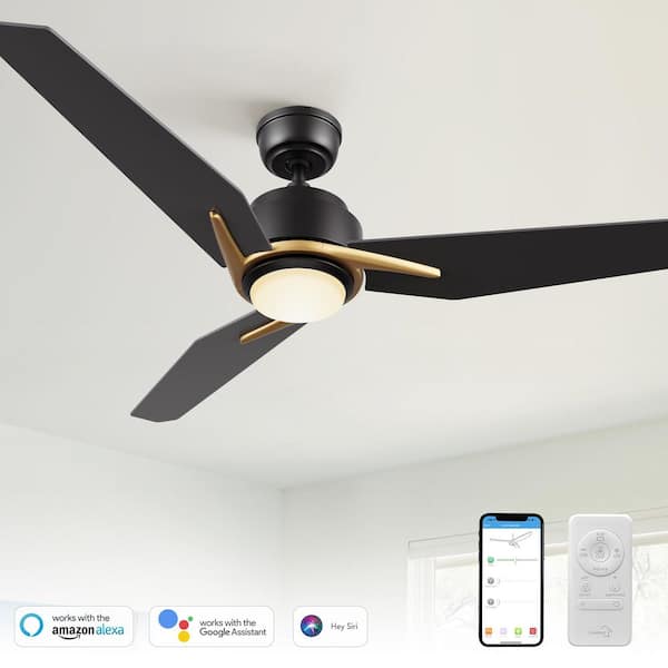 Tilbury 52 in. Integrated LED Indoor/Outdoor Black Smart Ceiling Fan with Light and Remote, Works with Alexa/Google Home