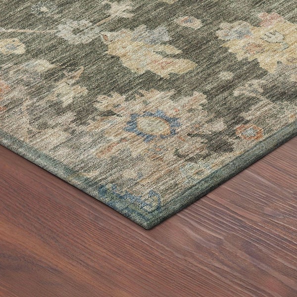 Chantille Machine Washable Indoor/Outdoor Abstract ACN2355 Fern 2 ft. x 3 ft. Accent Rug