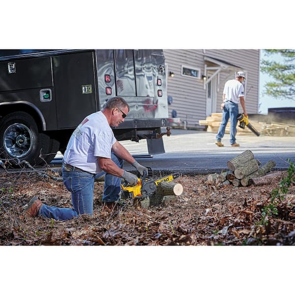 20V Max* Pruning Chainsaw Kit