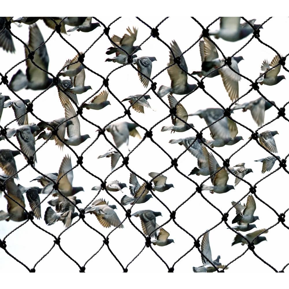 Heavy-Duty Black Polyethylene Bird Repellent Netting, 25 ft. x 50 ft.