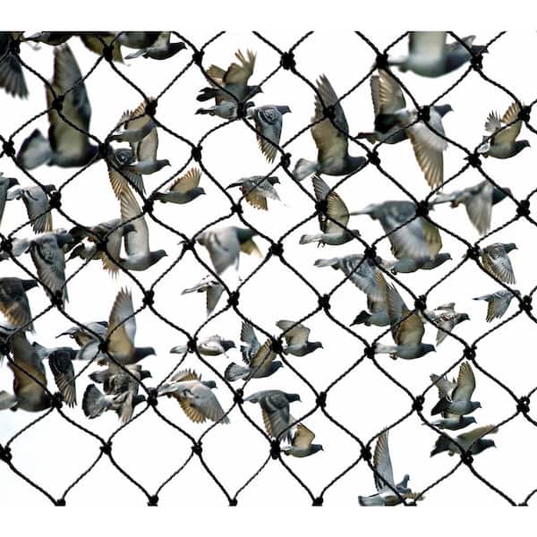Bird Net Trap With Better Performance Outcomes 