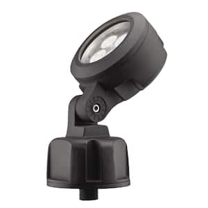 Bronze Outdoor Integrated LED 5000K Landscape Spot Light