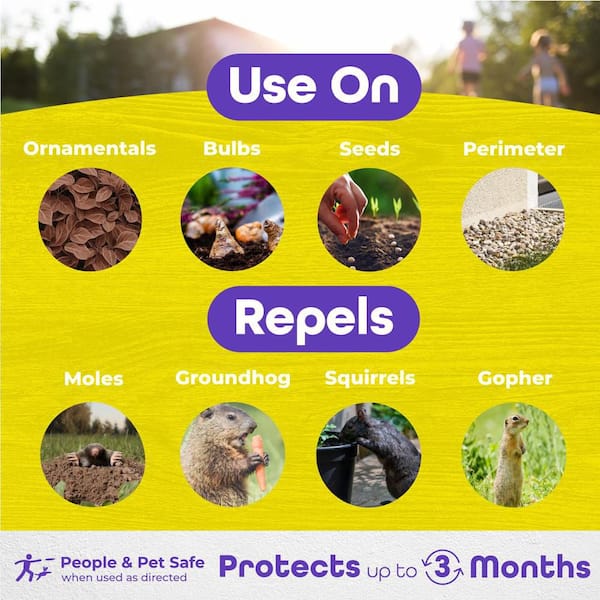 MoleMax Mole and Vole Repellent Granules, 10 lbs. Ready-to-Use, Lawn and Garden Mole Control, People and Pet Safe