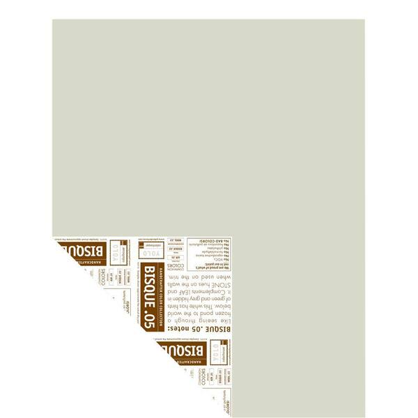 YOLO Colorhouse 12 in. x 16 in. Bisque .05 Pre-Painted Big Chip Sample