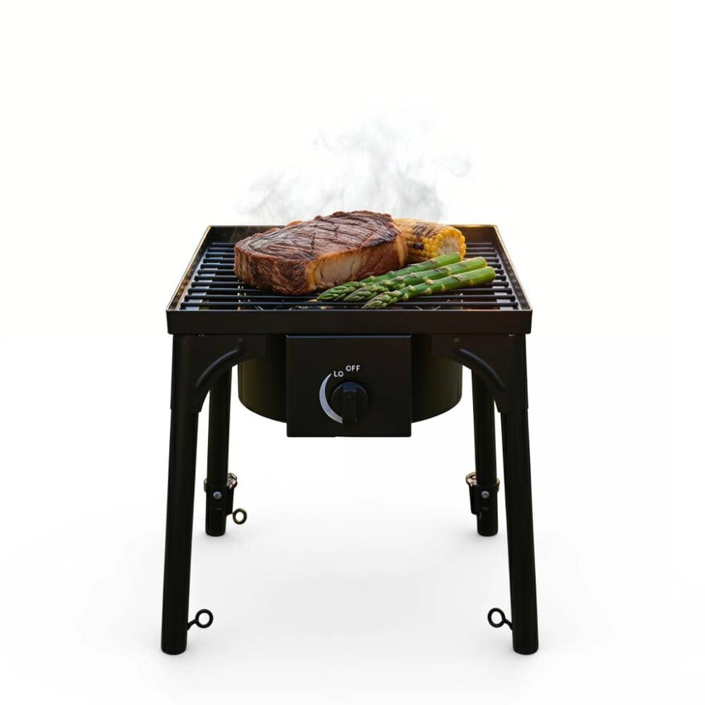 100,000 BTU Heavy-Duty Portable Propane Camp Stove – Cast Iron Single Burner with Adjustable & Detachable Legs price history on PriceWatchPro