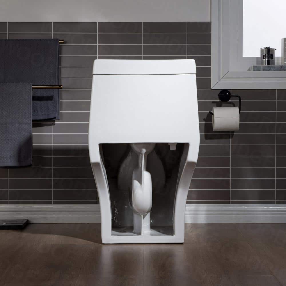 White Elongated One-Piece Dual Flush Toilet with Chrome Button