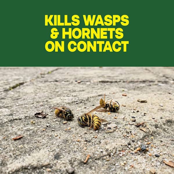 Wasp and Hornet Killer, Stinging Bug Insecticide for Outdoor Use, Insect Killer, 17.5 oz.