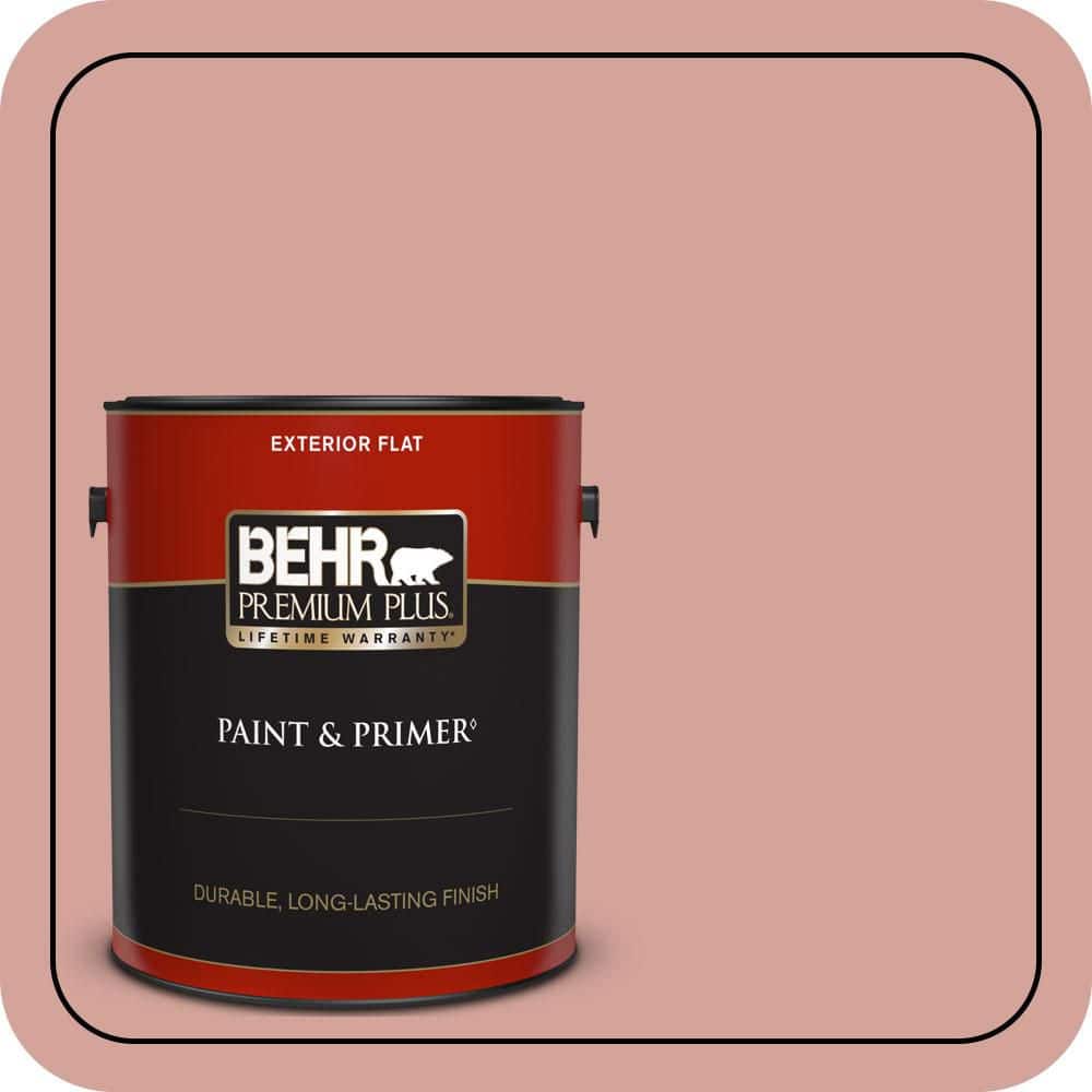 1 gal. #S160-3 Bubble Shell Flat Exterior Paint & Primer price history on PriceWatchPro