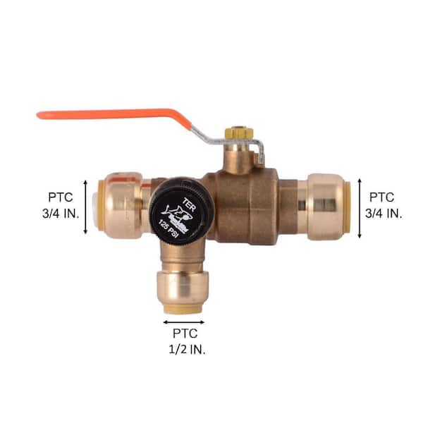 3/4 in. Brass Thermal Expansion Relief Valve