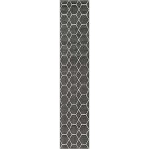 Trellis Frieze Geometric Dark Gray 2 ft. x 10 ft. Area Rug