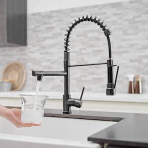 Single Handle Brass Pull Down Sprayer Kitchen Faucet with Advanced Spray in Black