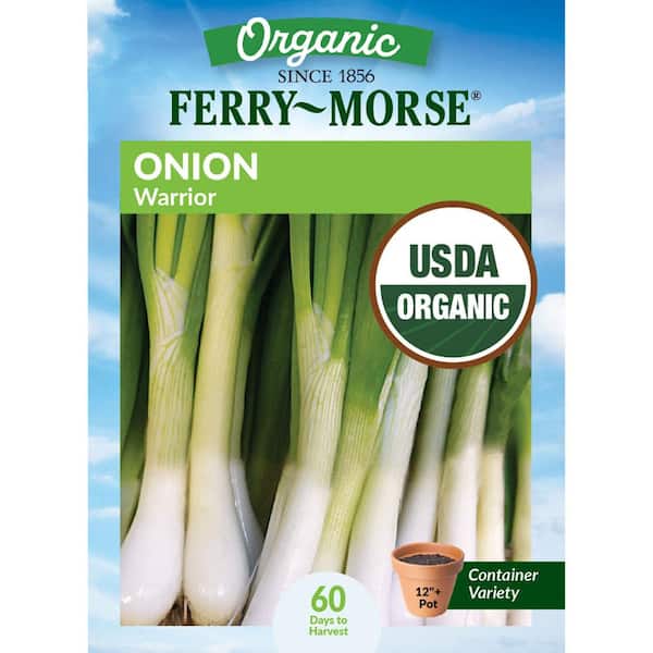 Organic Onion Warrior Vegetable Seeds