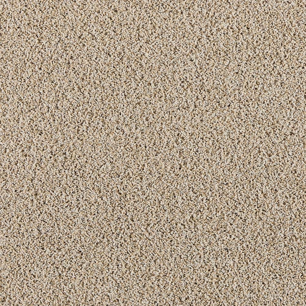 8 in. x 8 in. Texture Carpet Sample - Radiant Retreat II - Color Serene price history on PriceWatchPro