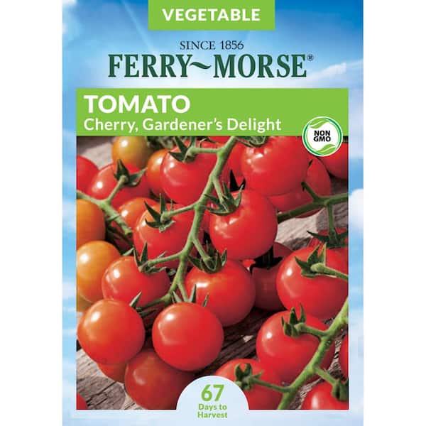 Ferry-Morse Tomato Gardener's Delight Fruit Seed