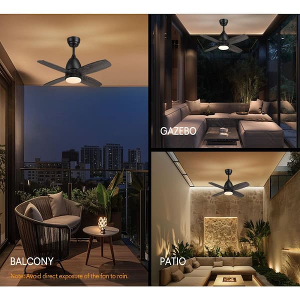 36 in. Dimmable LED Indoor Black Ceiling Fan with Remote Farmhouse Small Bedroom Fan Light with Walnut Color Blades