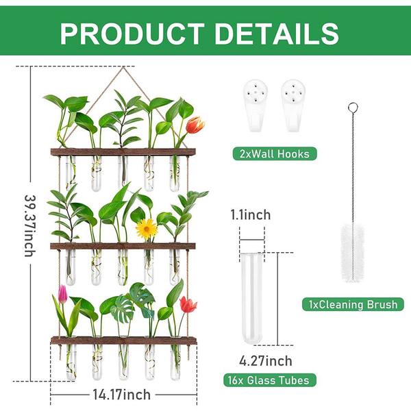 thumbnail image 2 of Glasseam Wall Propagation Station - Glass Plant Test Tubes With Wood Stand For Home Decor 2 of 9