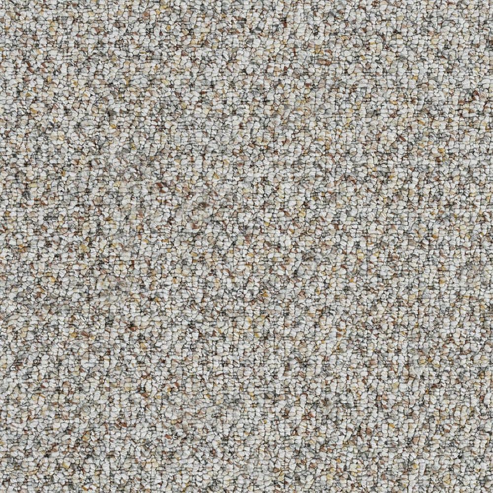 8 in. x 8 in. Loop Carpet Sample - Verse Vibe - Color Impression price history on PriceWatchPro