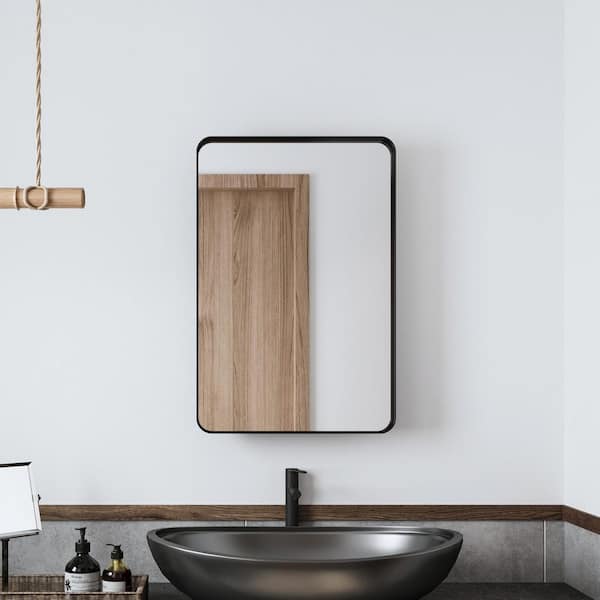 20 in. W x 30 in. H Recessed or Surface Mount Rectangular Medicine Cabinet with Mirror and Adjustable Shelves in Black