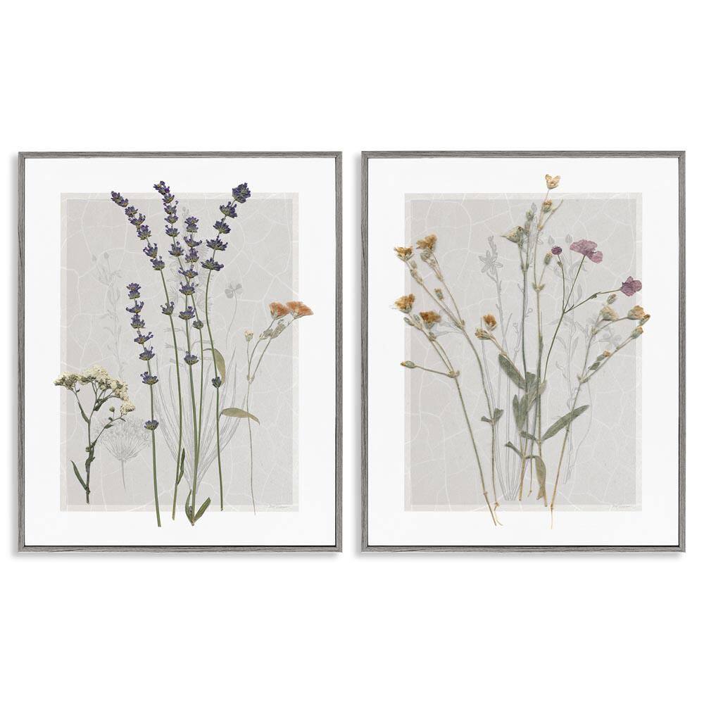 Delicate Wildflower Herb Sprigs by Carol Robinson 2 Piece Gray Framed Giclee Art Print Nature 16 in. x 20 in. price history on PriceWatchPro