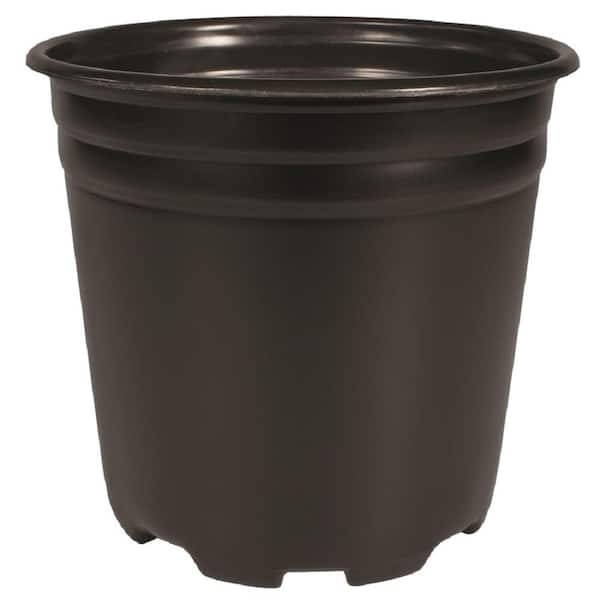 Unbranded Trade 1 Gal. (2.9 Qt.) Black Thermoformed Nursery Pot