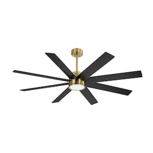 60 in. 8-Plywood Blades Indoor Black and Gold LED Ceiling Fan with Remote