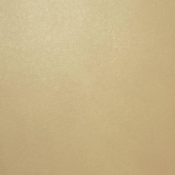 Ralph Lauren 13 in. x 19 in. #ME132 Pale Luster Metallic Specialty Paint Chip Sample