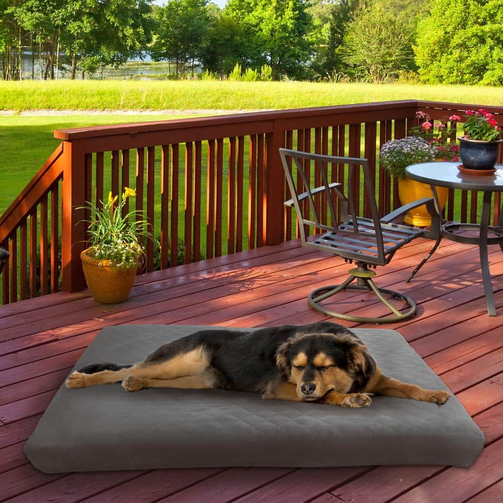 Extra Large Gray Memory Foam Waterproof Dog Bed