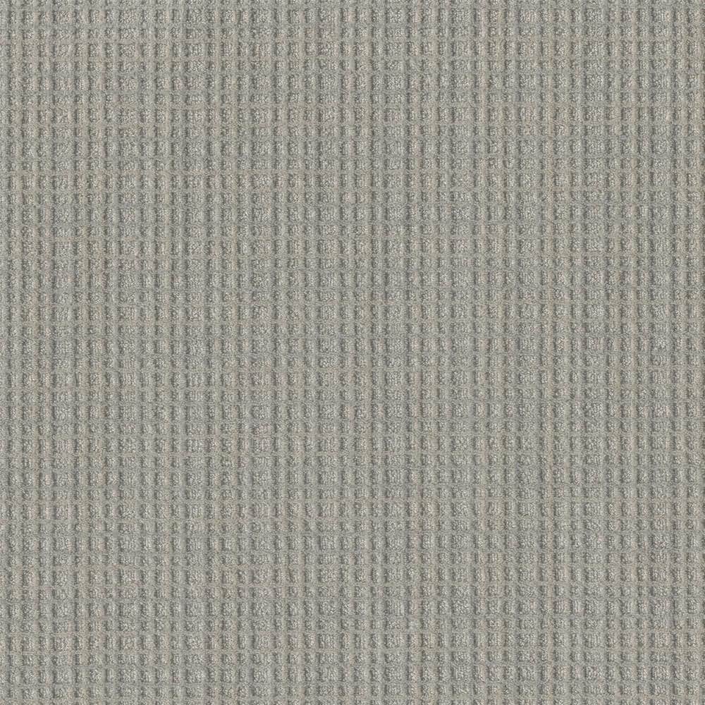 8 in. x  8 in. Loop Carpet Sample - Rosedale -Color Geddy price history on PriceWatchPro
