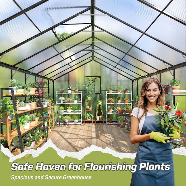 VIWAT 10 ft. W x 16 ft. D Greenhouse for Outdoors, Polycarbonate